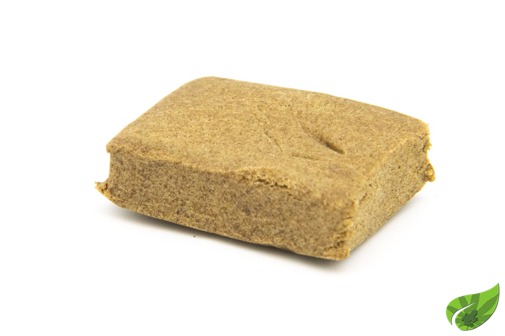 THV-N10 HASH BELDIA