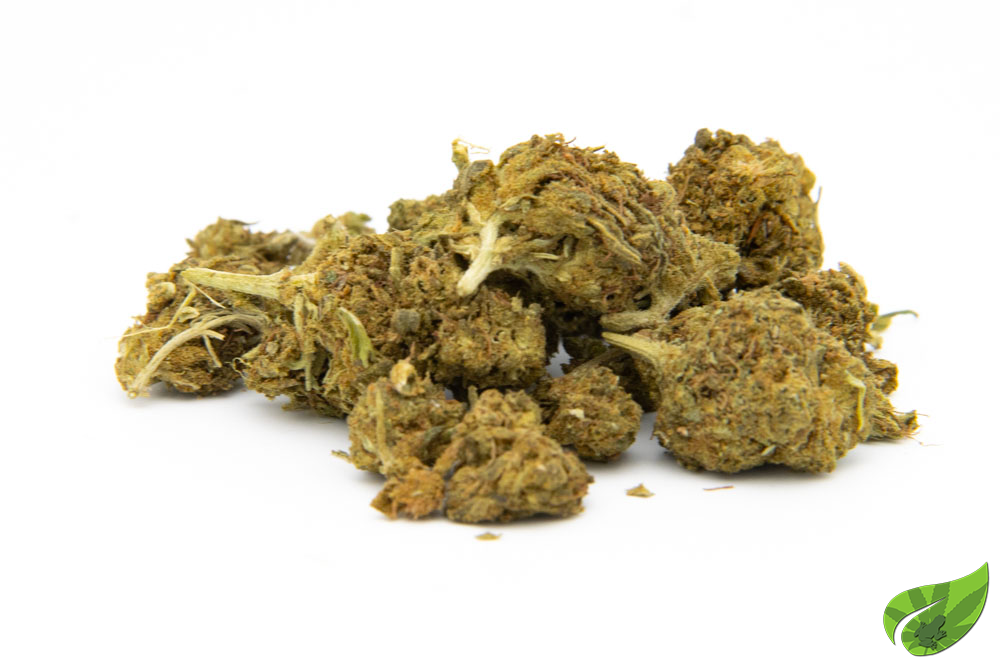 SMALL CANNATONIC