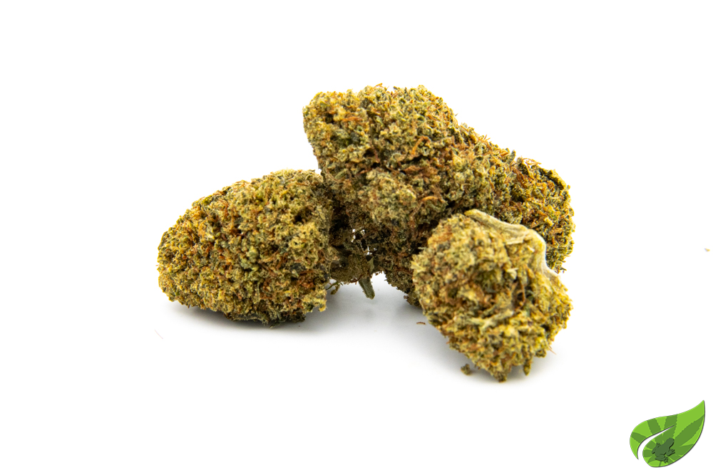 GORILLA GLUE